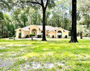 10195 Sw 202nd Circle, Dunnellon image