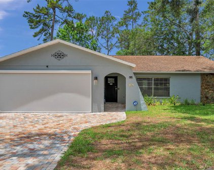1518 June Avenue, Brooksville