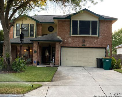 11211 Forest Night, Live Oak