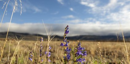 128 Antelope, Creede