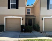 8431 Edgewater Place Boulevard, Tampa image