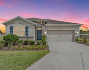 31662 Tansy Bend, Wesley Chapel image