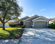 22524 Willow Lakes Drive, Lutz image