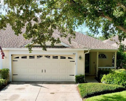 19117 Weymouth Drive, Land O' Lakes