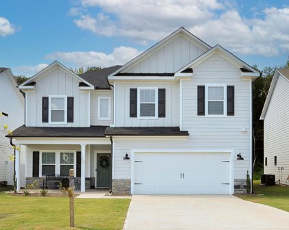 302 Alyssa Landing Drive, Fountain Inn