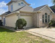 830 Green Pines Forest, Houston image