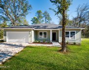 2924 Guava Ct, Middleburg image