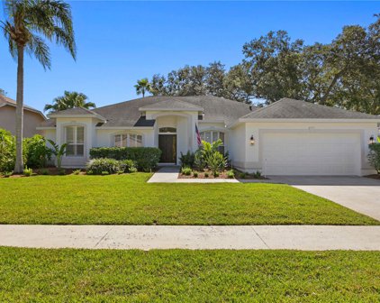 2257 Eagle Bluff Drive, Valrico