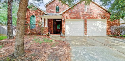 20507 Emery Manor Lane, Porter