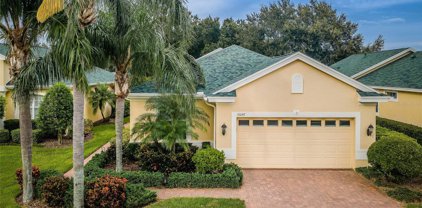 10247 Sorenstam Drive, Trinity