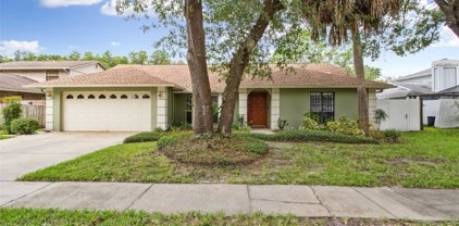 12914 Rain Forest Street, Temple Terrace