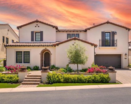 7939 Silvery Moon Ln, Rancho Santa Fe