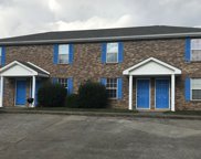 361 Peabody Dr, Clarksville image