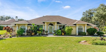 11601 Chantilly Court, Clermont