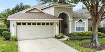8023 Saint James Way, Mount Dora