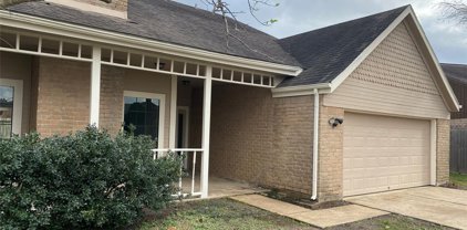 12206 Ashling Drive, Houston