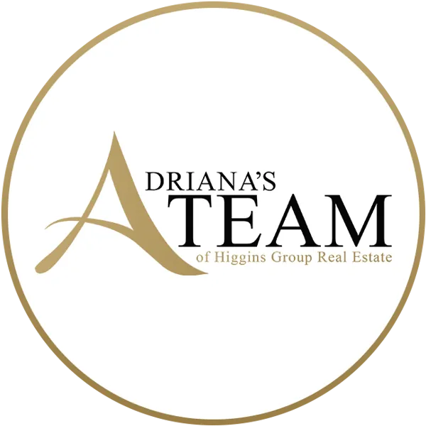 Meet the Team
