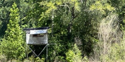 100+/-Ac Frost Lane, Laurel Hill