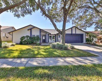 2554 Brimhollow Drive, Valrico