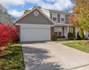 1154 Manor Cove  Drive, St Charles image