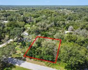 6514 N Cherrytree Terrace, Hernando image