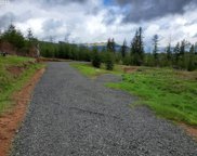 22310 NE DOLE VALLEY RD, Yacolt image