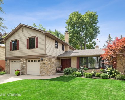 215 E Lynnwood Avenue, Arlington Heights