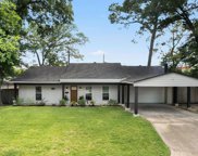 10151 Brinwood Drive, Houston image