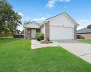 13221 Miller Lane, Willis image
