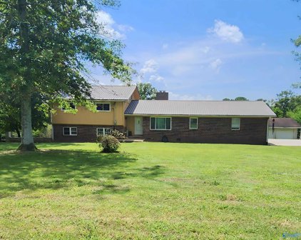 3143 Hustleville Road, Albertville