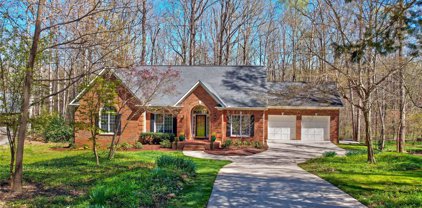 17916 Pages Pond  Court, Davidson