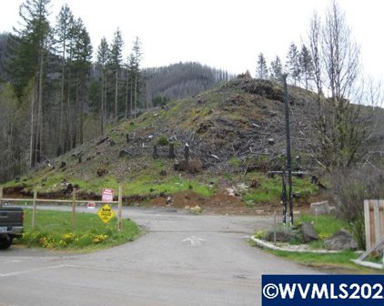 130 Breitenbush Rd