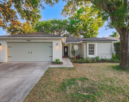 8719 Hampden Drive, Tampa