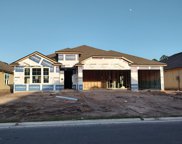 3109 Cold Leaf Way, Green Cove Springs image