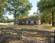 52 Brewer, Conway image