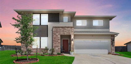 8003 Brahman Lane, Rosharon