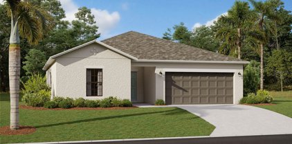 9216 Westernwoods Avenue, Parrish