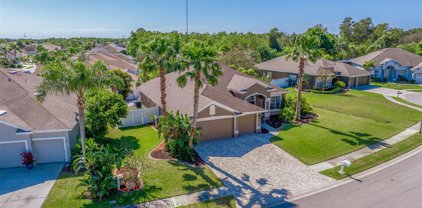 2504 Bay Field Court, Holiday
