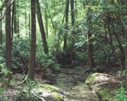 Lot 2B Fly Fishing Lane, Cashiers image