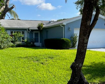 3273 Beaver Drive, Clearwater