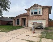 16314 Mulberry Run Court Court, Sugar Land image