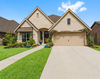 2023 Blackhawk Ridge Lane, Manvel