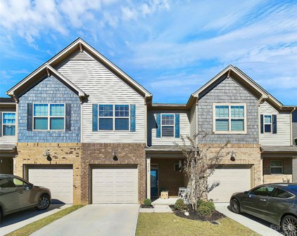 5314 Orchid Bloom  Drive, Indian Land
