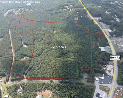 00 Grey Rock Estates Road, Abbeville