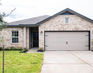 15218 White Moss Drive, New Caney image