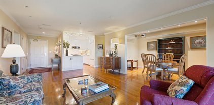 100 Thorndale Drive Unit 233, San Rafael