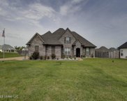 2128 Watson Place Cove, Nesbit image