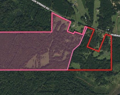 417 Robinson Springs Road, Flora