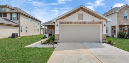 6203 Prince Place Drive, Rosenberg