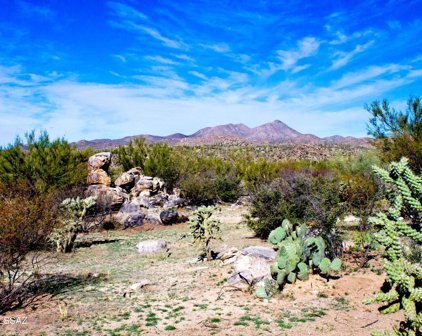 490 E Cresent Moon Unit #66,67, Oro Valley